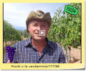 Pronti x la vendemmia!????ðð·