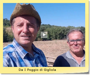 Da I Poggio di Gigliola