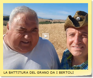 LA BATTITURA DEL GRANO DA I BERTOLI