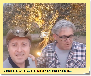 Speciale Olio Evo a Bolgheri seconda puntata