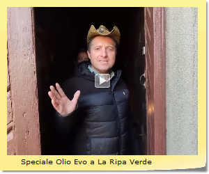 Speciale Olio Evo a La Ripa Verde