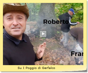 Su I Poggio di Gerfalco