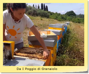Da I Poggio di Granaiolo