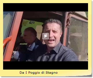 Da I Poggio di Stagno